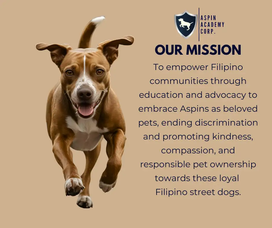 Happy Rescued Aspin